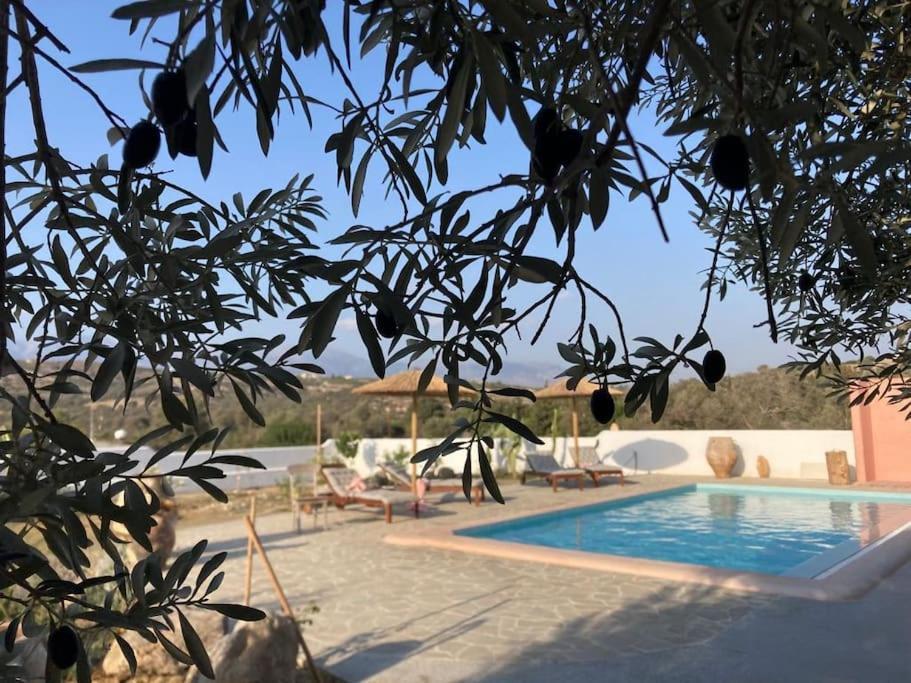 Villa Louloudia Stylish Luxury Villa With Private Pool 皮特斯迪亚 外观 照片