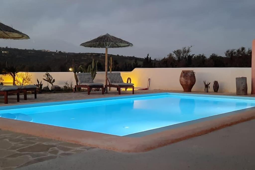 Villa Louloudia Stylish Luxury Villa With Private Pool 皮特斯迪亚 外观 照片
