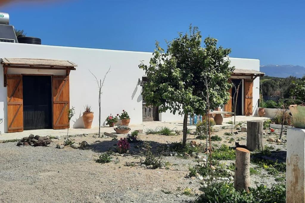 Villa Louloudia Stylish Luxury Villa With Private Pool 皮特斯迪亚 外观 照片