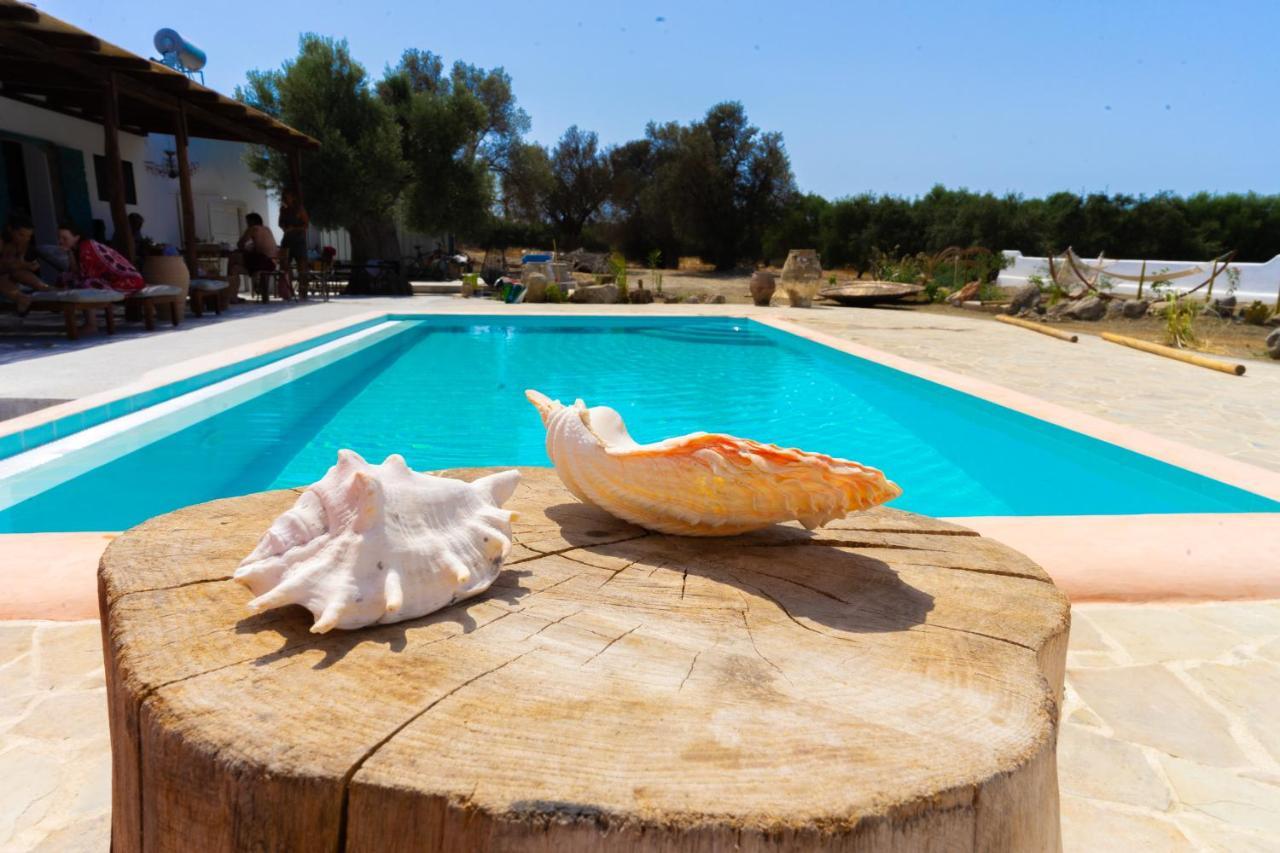 Villa Louloudia Stylish Luxury Villa With Private Pool 皮特斯迪亚 外观 照片